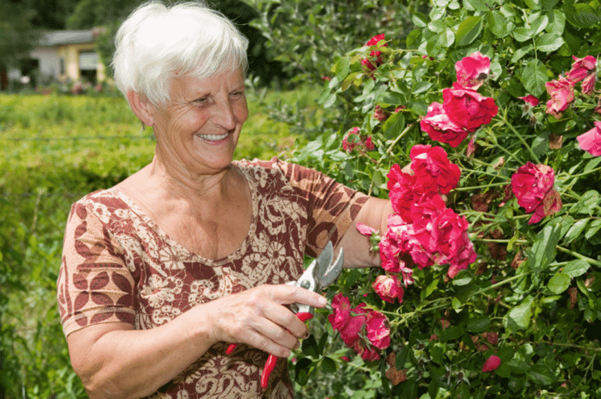 Tips for Spring Cleaning with Seniors